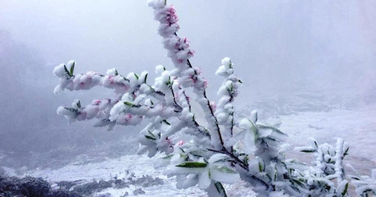 Thick layers of snow over 30cm deep in Buoc Mu 